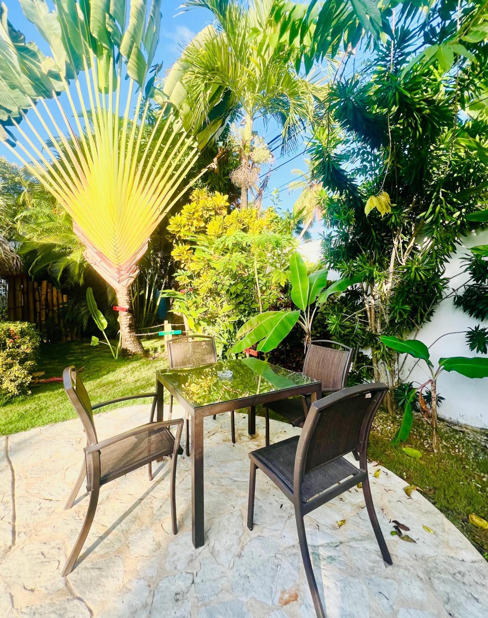 Villa Clarissa No. 8 Las Terrenas Dış mekan fotoğraf